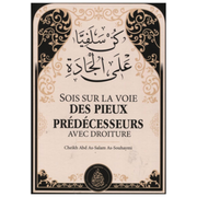 Soissurlavoiedespieuxpredecesseursavecdroiturerecto